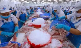 Tháo điểm nghẽn để cán đích xuất khẩu nông, lâm, thủy sản