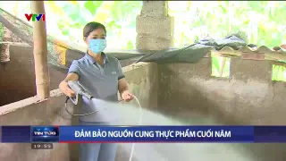 Thời sự 20h VTV1 - 17/11/2024