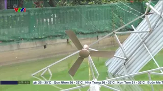 Thời sự 12h VTV1 - 10/5/2025