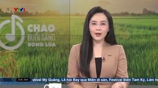 Chào buổi sáng - 04/6/2025