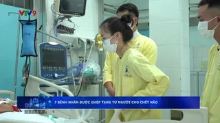 7 bệnh nhân được ghép tạng từ người cho chết não
