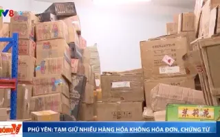Phú Yên tạm giữ nhiều hàng hóa không hóa đơn, chứng từ