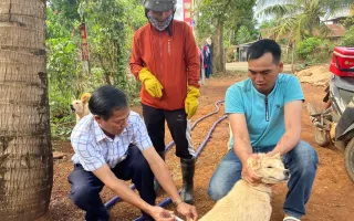 Người dân không nên chủ quan khi bị chó cắn, mèo cào