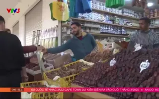 Cà phê sáng - 02/3/2025 - Video đã phát trên VTV3 | VTV.VN