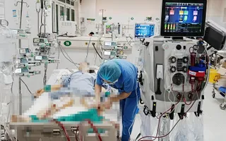 Ứng dụng ECMO và lọc máu hấp phụ cứu sống bệnh nhân ngộ độc thuốc