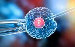 Bộ kit xét nghiệm di truyền EmbryoMap là bước tiến, không phải thay thế