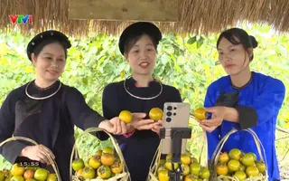 Sắc hồng biên cương: Mở hướng làm giàu từ vườn quả