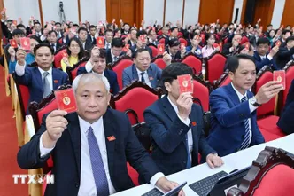 Kết luận của Bộ Chính trị, Ban Bí thư về công tác đại hội đảng bộ trực thuộc Trung ương và nhiệm vụ thời gian tới