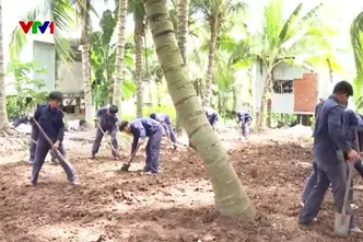 Phát hiện 42 hài cốt liệt sĩ trong vườn dừa vùng biên