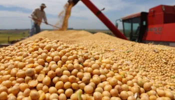 Giá đậu tương lao dốc trước lo ngại căng thẳng Mỹ-Trung