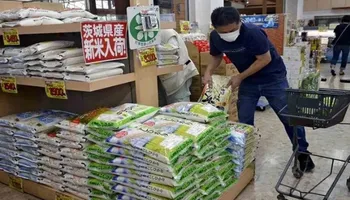 Nhật Bản gặp khó khăn trong việc giảm giá gạo
