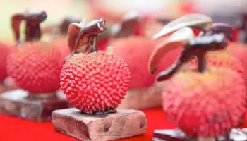 Loại vải đắt nhất Trung Quốc: 1 quả giá hơn 160 triệu đồng!
