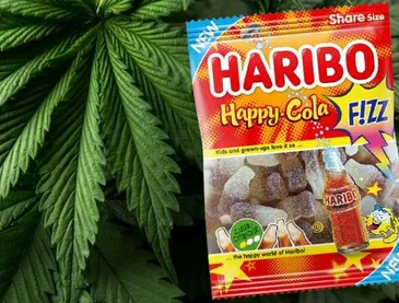 Thu hồi kẹo dẻo Haribo tại Hà Lan do phát hiện có chứa cần sa