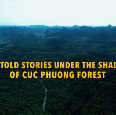 Untold stories under the shades of Cuc Phuong forest - Discovery