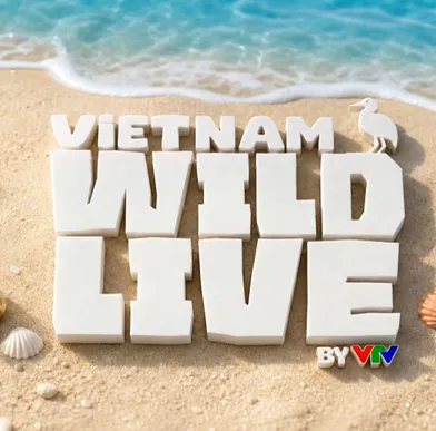 Vietnam Wild Live