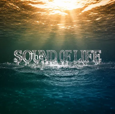 THE SOUND OF LIFE