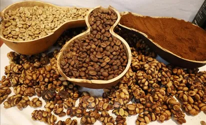 Cà phê Việt chinh phục người tiêu dùng Pháp