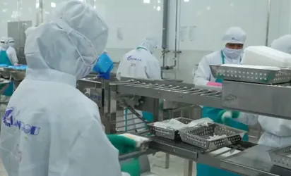 Xuất khẩu nông, lâm, thủy sản đạt gần 36 tỷ USD
