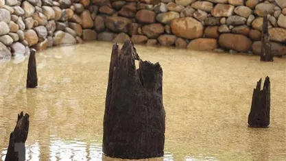 Khu bảo tồn bãi cọc Cao Quỳ: Góc nhìn mới về lịch sử Việt Nam