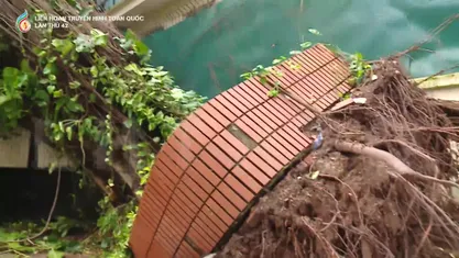 Kết nối nghĩa tình Nam - Bắc