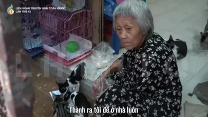 Nội Mai