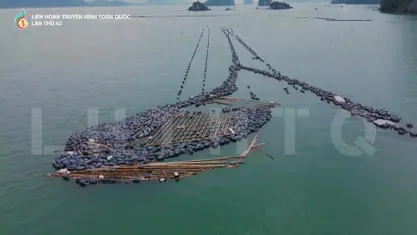 Đời biển