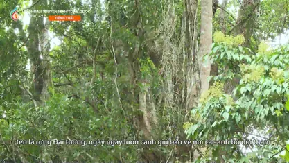Điện Biên đón chào