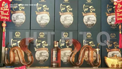 Giấc mơ rượu Xà No