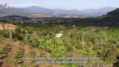 Niềm tin Chapi