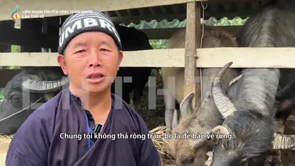 Chuyện gác rừng nơi đình trời