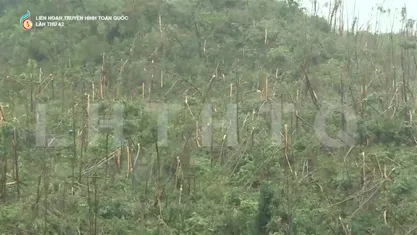Vượt bão