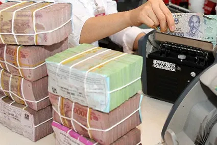 VAMC cuts rates on NPLs denominated in euros, dong