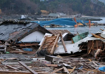 How the 2011 Japanese Tsunami Changed the Face of Science