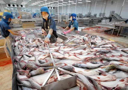 Tra fish exports to China increase by 90%