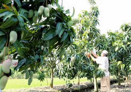 An Giang Province to train rural workforce