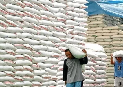 Senegal a potential market for Vietnamese rice