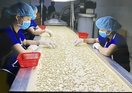 Vietnamese economy forecast to expand at 5.5 % in Q1