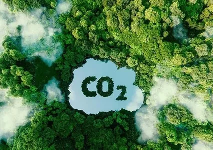 Ministry establishes monitoring framework for carbon market