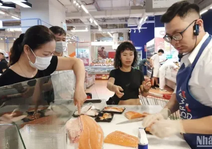 Norwegian seafood has considerable potential in Vietnamese market