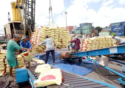 Vietnam likely earn 5 billion USD from rice exports this year