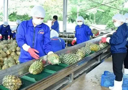Vietnam's fruit, vegetable exports near 7 billion USD target