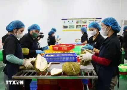 Vegetable, fruit exports likely to make record high of 7.5 billion USD