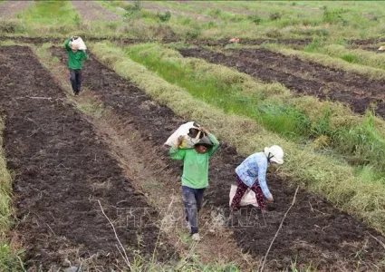 Vietnam should tap domestic market for economic growth: insiders