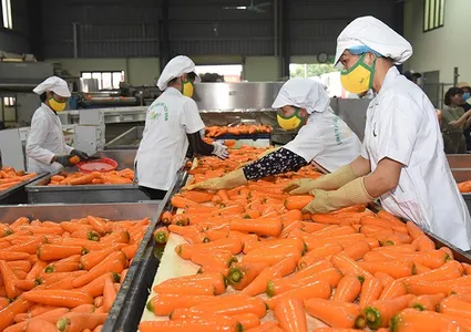 Enhancing agricultural export capacity