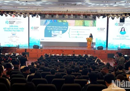 Cross-border e-commerce expands market for Vietnamese goods: experts