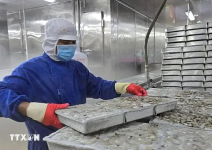 Eleven-month seafood export almost reaches 9.2 billion USD