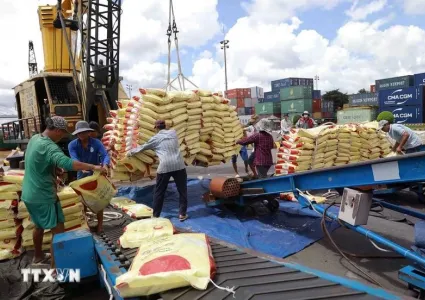 Vietnam's rice exports increase over 23%