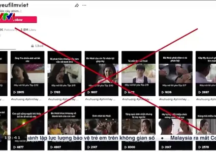 Several VTV Programs Targeted  by Copyright Infringement