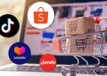 Revenue from five largest e-commerce platforms reaches over 12 billion USD in 2024