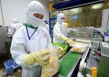 New challenges from agricultural export markets